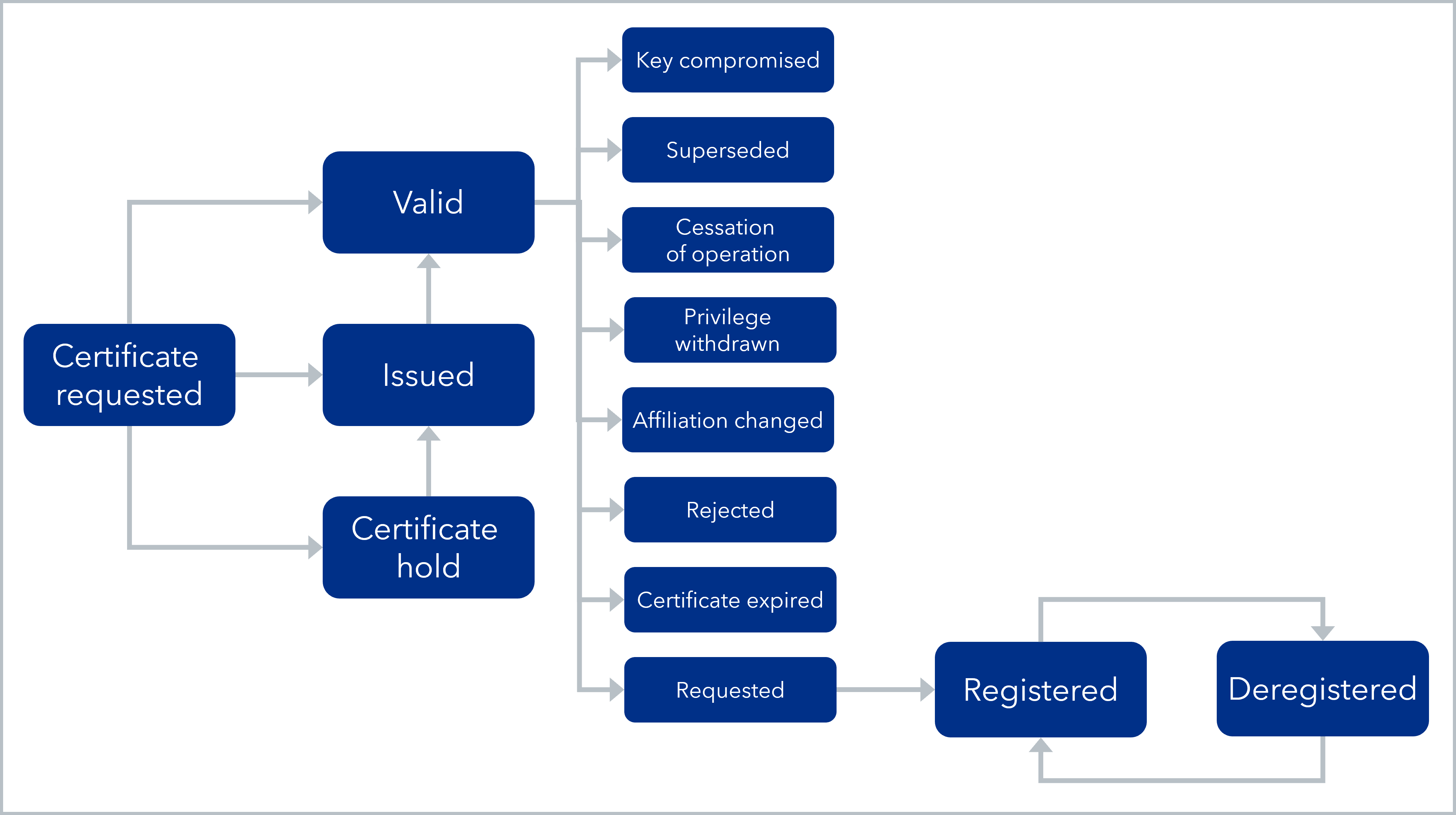 Illustration_State_Certificate.png
